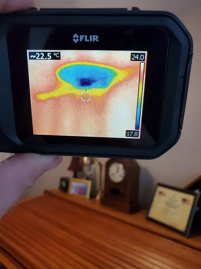 Thermal imaging inspection for water damage in Cranberry