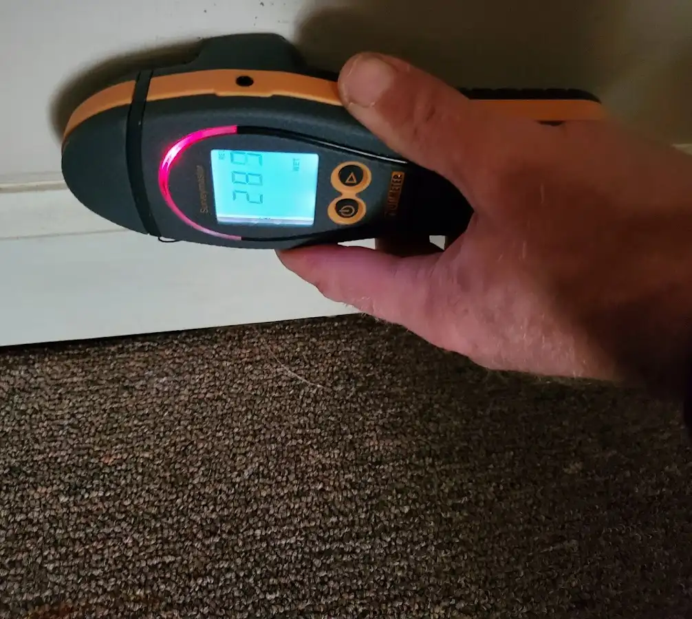 Moisture detection at baseboard during Sewage Cleanup & Sanitation in Cranberry